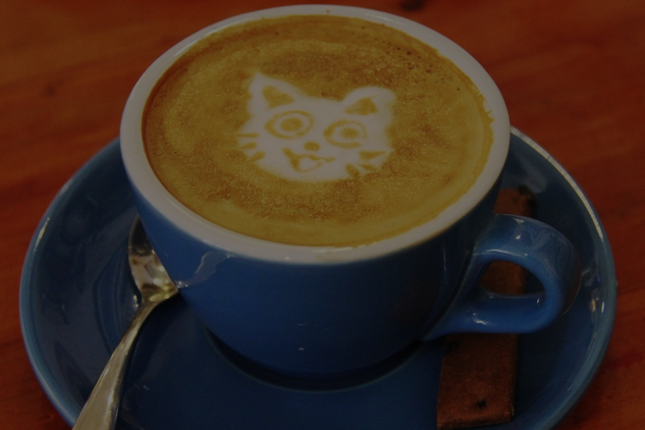 best cat cafes
