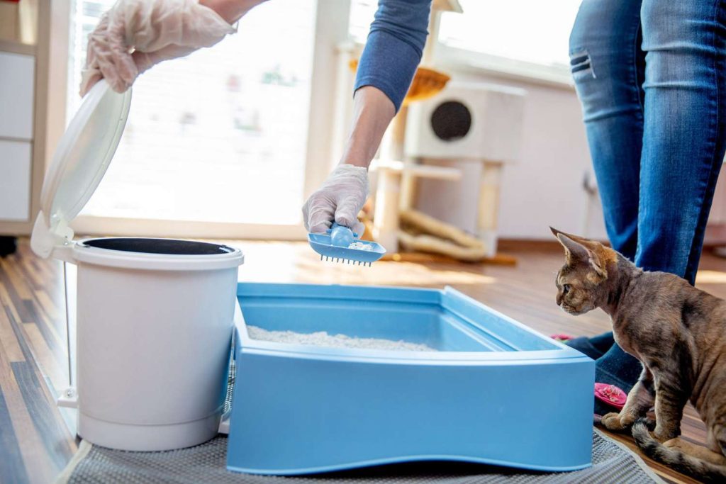 Empty the litter box into the garbage bag