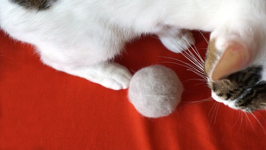 Cat with hairball