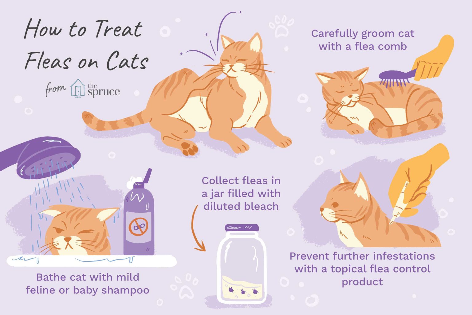 Gallery Detail: Cat Protection Against Fleas