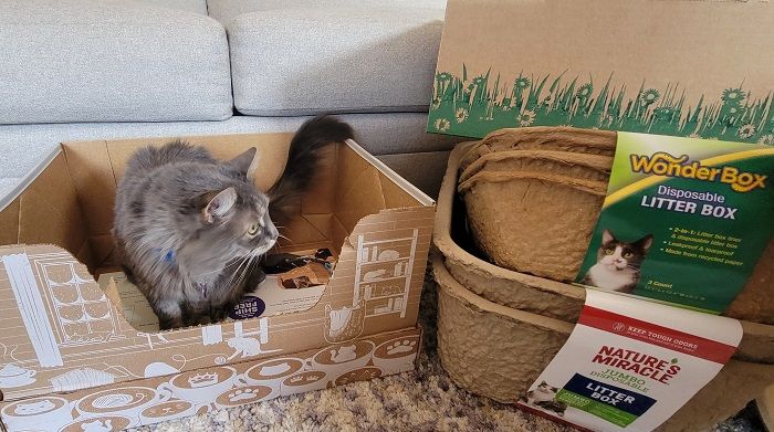 Disposable cardboard Cat litter box