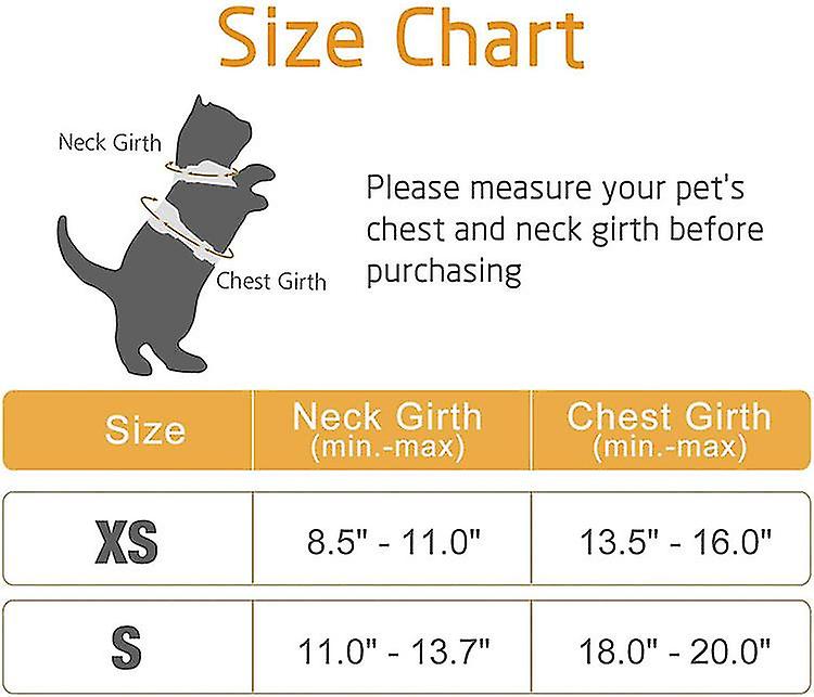 How To Measure A Cat Harness PurrfectJourney