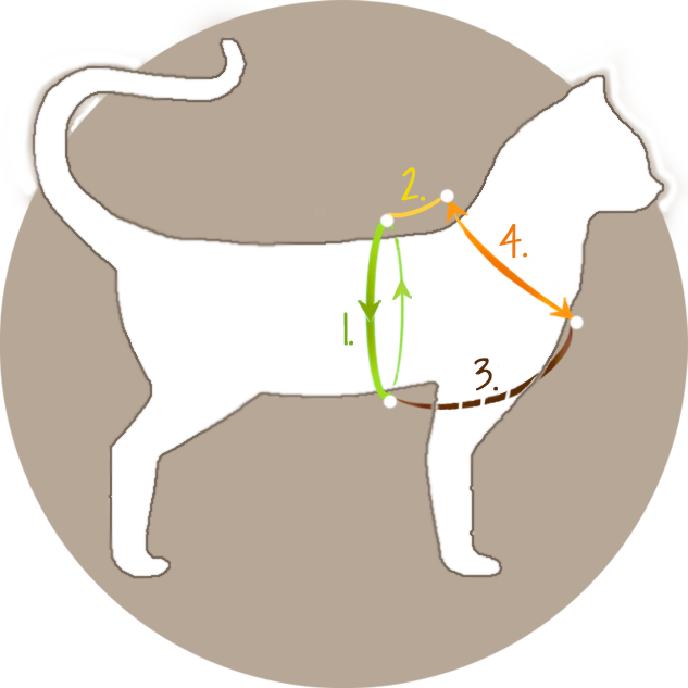 Measure for a Cat Harness