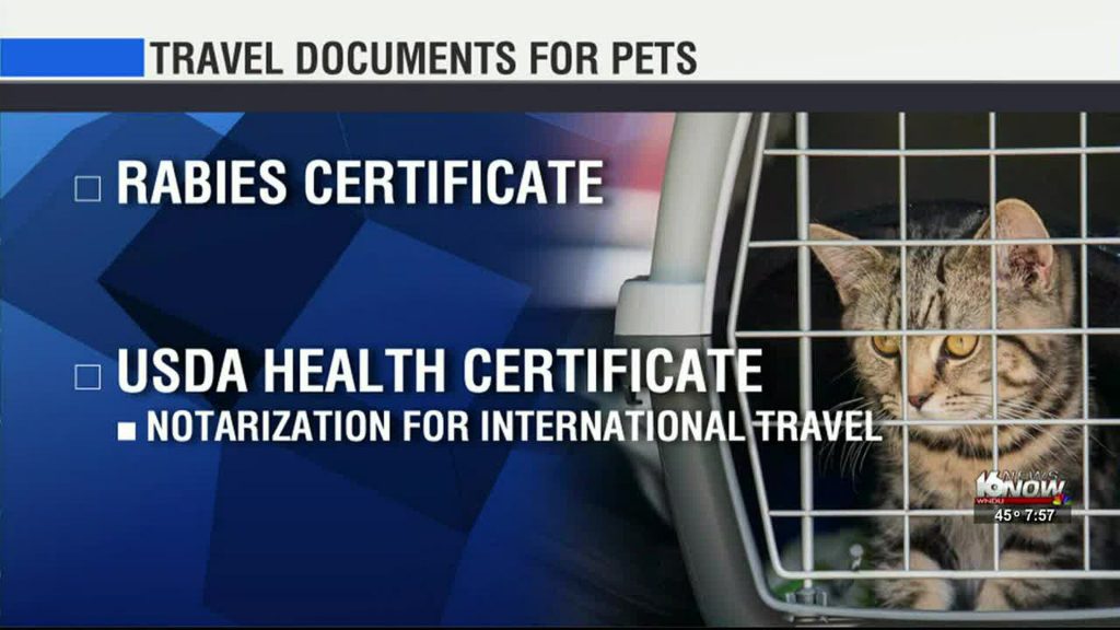 Documents for pet travel