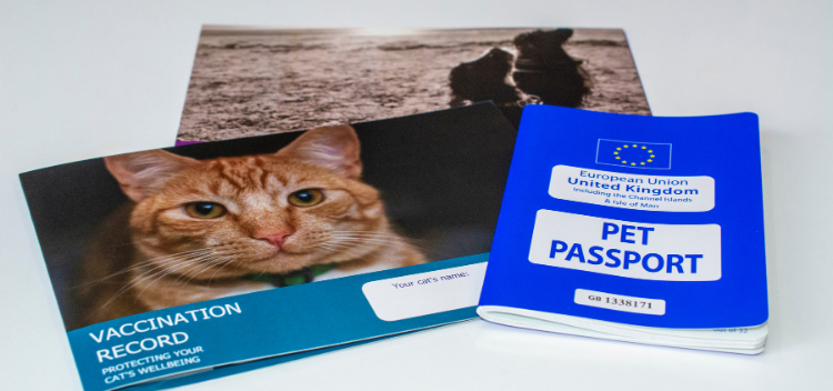 Pet passport and vaccination required to travel international