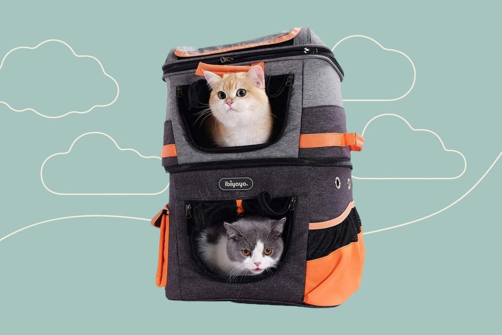 Suitable carrier for both cats