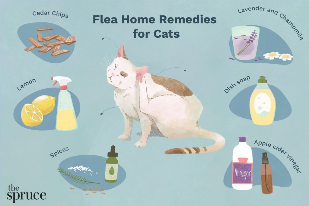 Remedies for treatment of cat flea