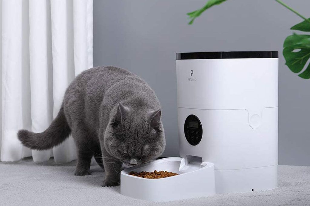 Cat eating from Food dispenser