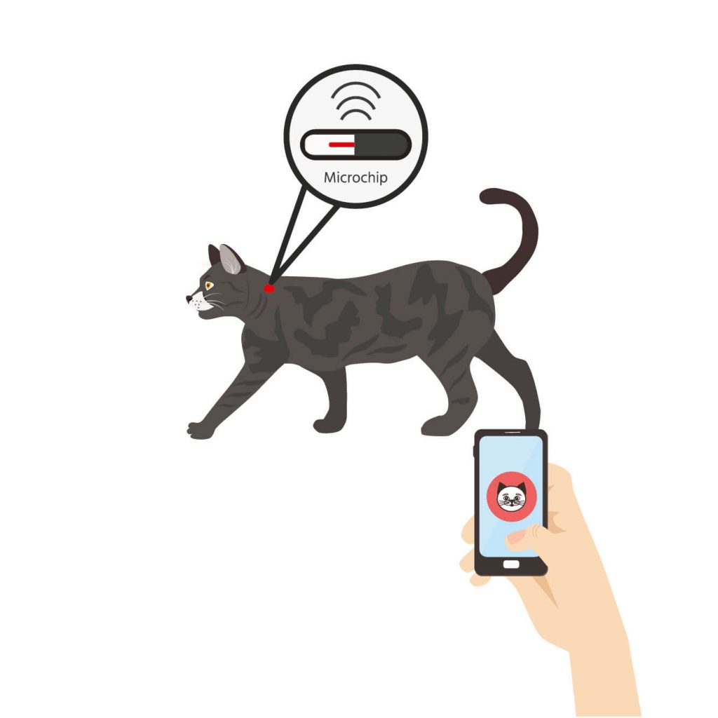Cat's tracking through microchip