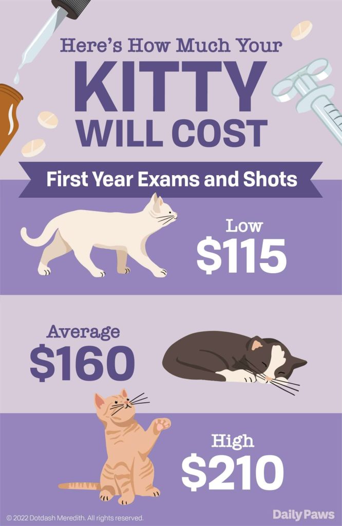 Cat health check cost
